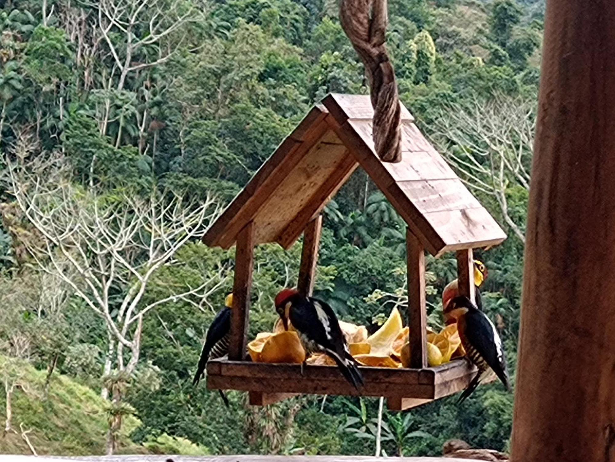 Recanto Bela Vista Caminho Do Ouro 賓館 *